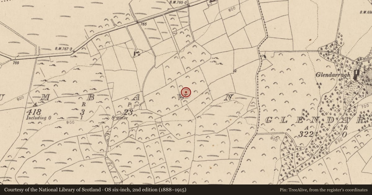 Ordnance Survey six-inch map, 2nd edition (1888–1915) covering the location of Ringfort - rath, Drumbawn, County Wicklow, with a pin at the register's coordinates