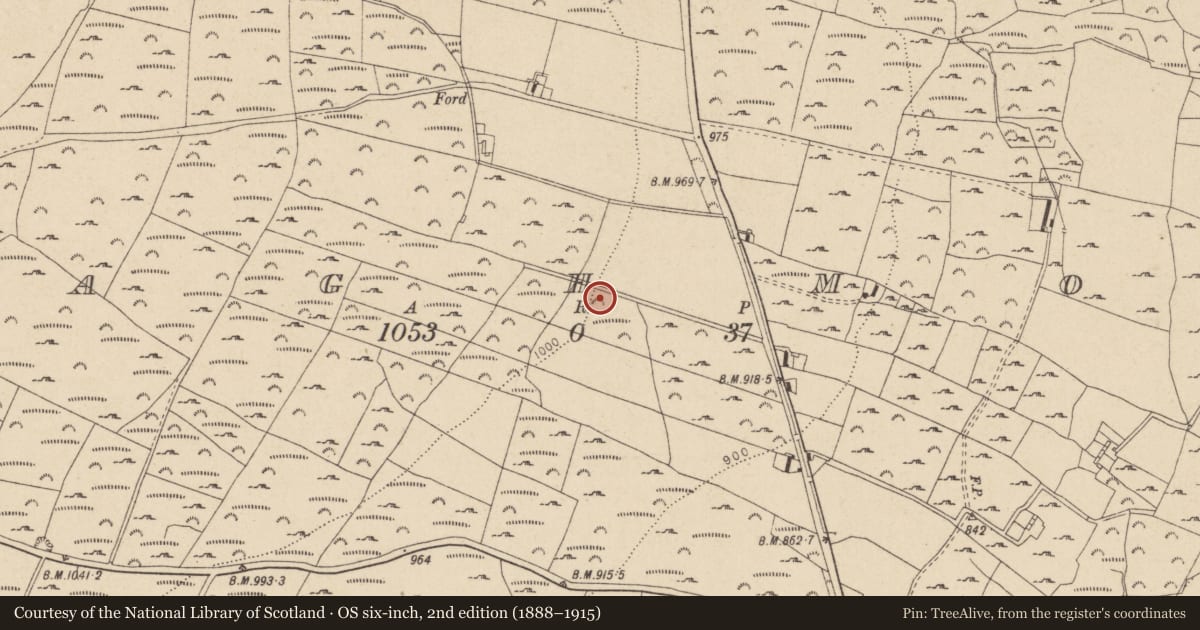 Ordnance Survey six-inch map, 2nd edition (1888–1915) covering the location of Enclosure, Sraghmore, County Wicklow, with a pin at the register's coordinates