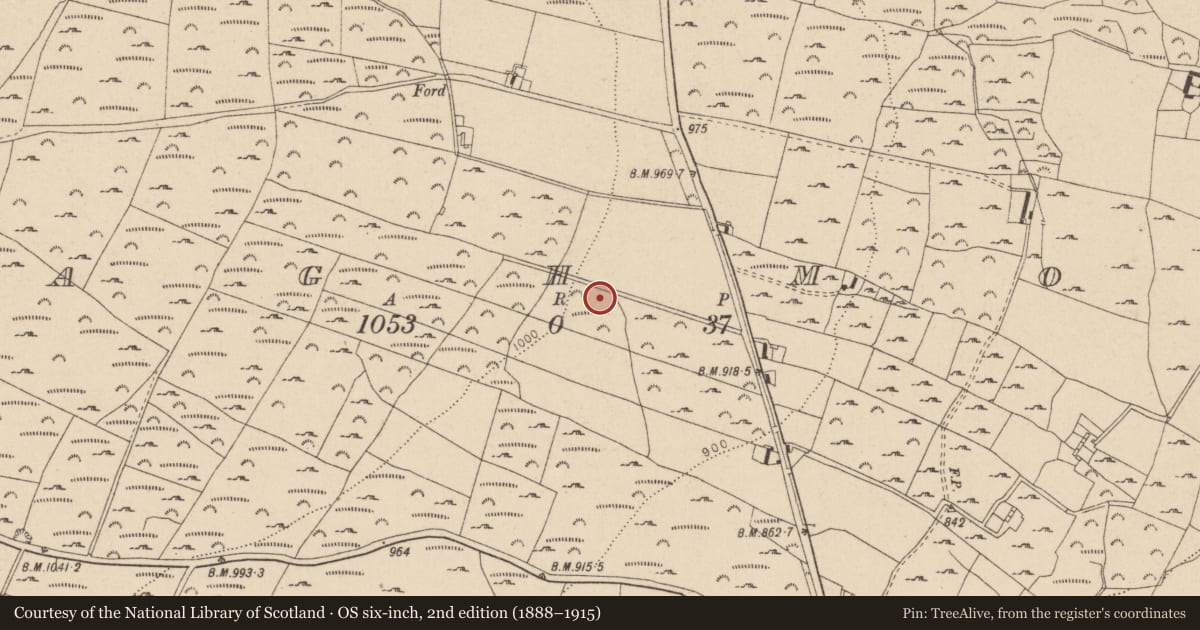Ordnance Survey six-inch map, 2nd edition (1888–1915) covering the location of Enclosure, Sraghmore, County Wicklow, with a pin at the register's coordinates