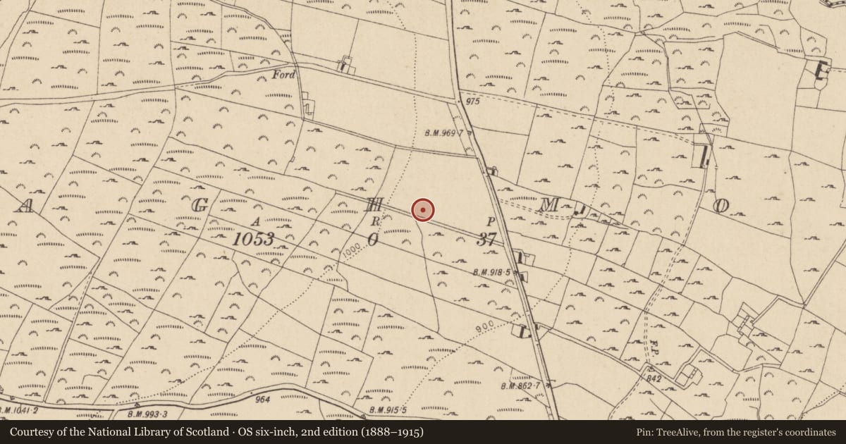 Ordnance Survey six-inch map, 2nd edition (1888–1915) covering the location of Enclosure, Sraghmore, County Wicklow, with a pin at the register's coordinates