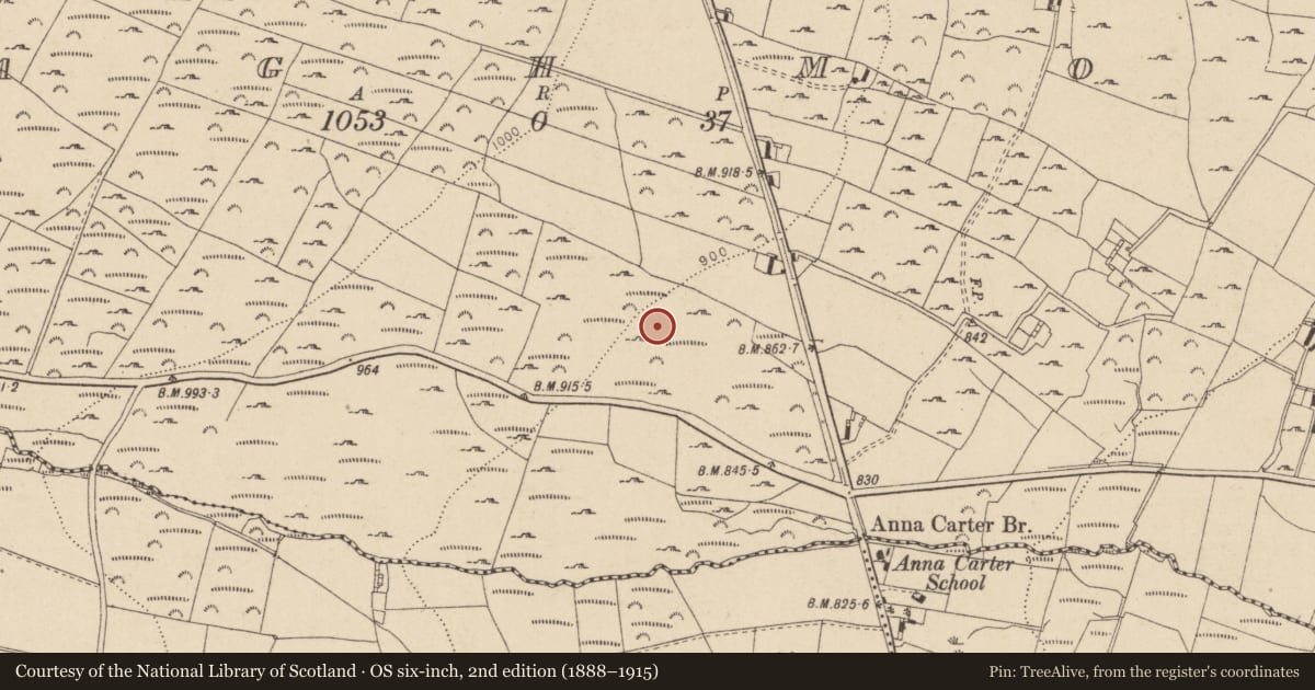 Ordnance Survey six-inch map, 2nd edition (1888–1915) covering the location of Enclosure, Sraghmore, County Wicklow, with a pin at the register's coordinates