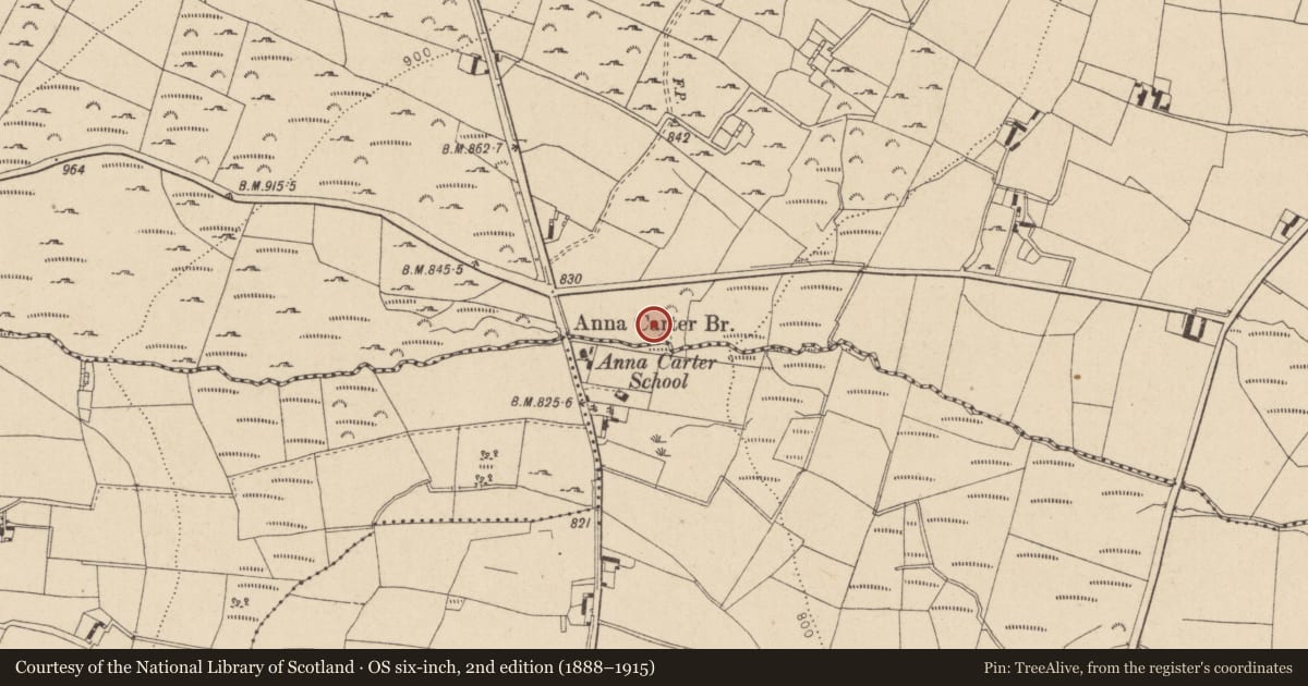 Ordnance Survey six-inch map, 2nd edition (1888–1915) covering the location of Enclosure, Sraghmore, County Wicklow, with a pin at the register's coordinates