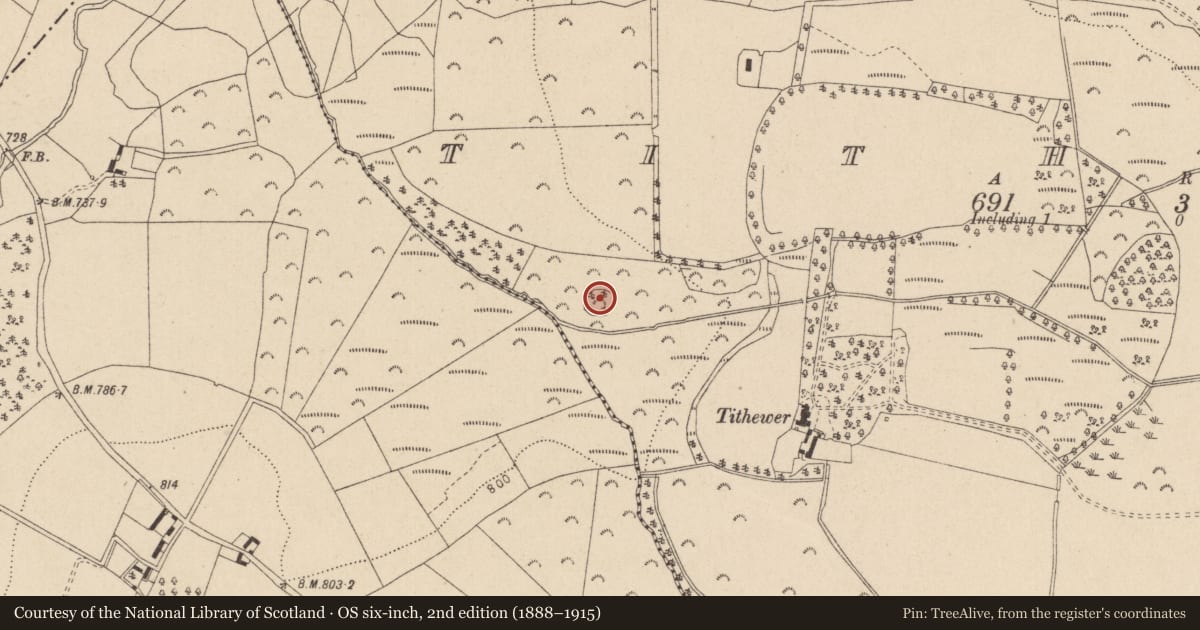 Ordnance Survey six-inch map, 2nd edition (1888–1915) covering the location of Ringfort - rath, Tithewer, County Wicklow, with a pin at the register's coordinates