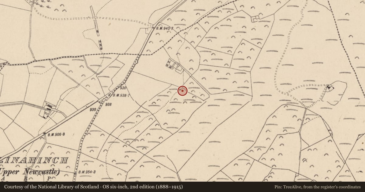 Ordnance Survey six-inch map, 2nd edition (1888–1915) covering the location of Ringfort - rath, Ballinahinch Upper, County Wicklow, with a pin at the register's coordinates