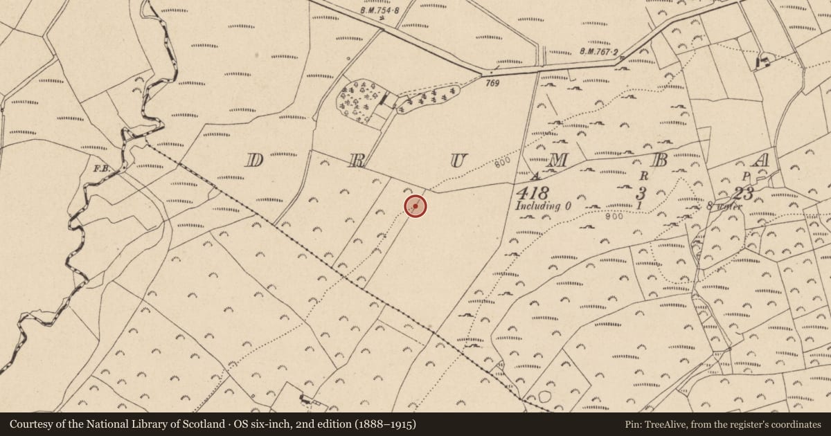 Ordnance Survey six-inch map, 2nd edition (1888–1915) covering the location of Ringfort - rath, Drumbawn, County Wicklow, with a pin at the register's coordinates