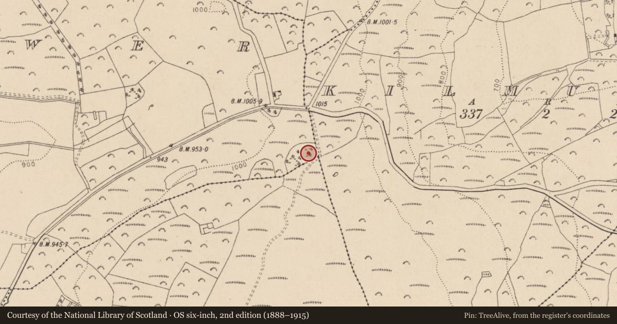 Ordnance Survey six-inch map, 2nd edition (1888–1915) covering the location of Enclosure, Tithewer, County Wicklow, with a pin at the register's coordinates