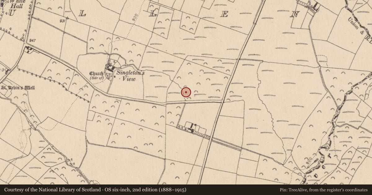 Ordnance Survey six-inch map, 2nd edition (1888–1915) covering the location of Fulacht fia, Glasnamullen, County Wicklow, with a pin at the register's coordinates