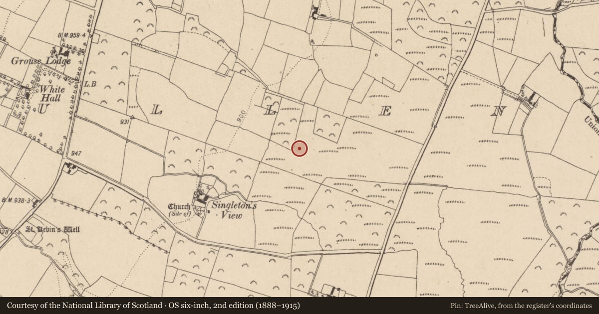 Ordnance Survey six-inch map, 2nd edition (1888–1915) covering the location of Fulacht fia, Glasnamullen, County Wicklow, with a pin at the register's coordinates
