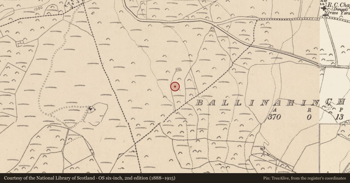 Ordnance Survey six-inch map, 2nd edition (1888–1915) covering the location of Hut site, Kilmurry, County Wicklow, with a pin at the register's coordinates