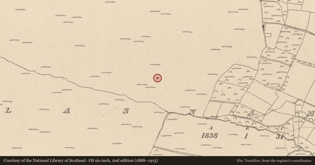 Ordnance Survey six-inch map, 2nd edition (1888–1915) covering the location of Standing stone, Glasnamullen, County Wicklow, with a pin at the register's coordinates