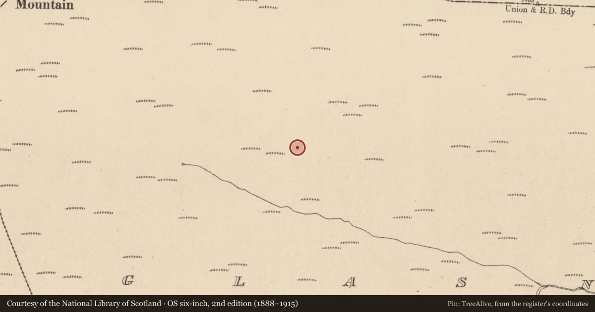 Ordnance Survey six-inch map, 2nd edition (1888–1915) covering the location of Hut site, Glasnamullen, County Wicklow, with a pin at the register's coordinates