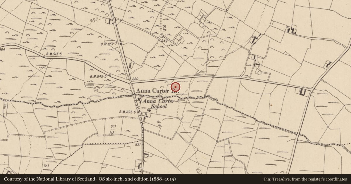 Ordnance Survey six-inch map, 2nd edition (1888–1915) covering the location of Fulacht fia, Sraghmore, County Wicklow, with a pin at the register's coordinates