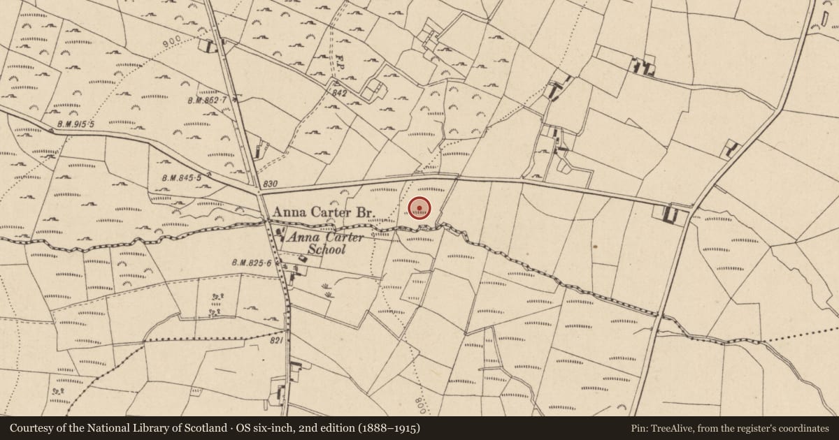 Ordnance Survey six-inch map, 2nd edition (1888–1915) covering the location of Fulacht fia, Sraghmore, County Wicklow, with a pin at the register's coordinates