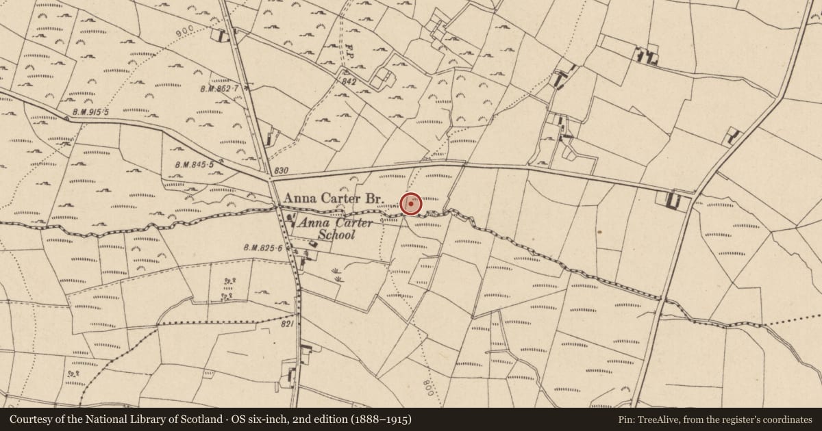 Ordnance Survey six-inch map, 2nd edition (1888–1915) covering the location of Fulacht fia, Sraghmore, County Wicklow, with a pin at the register's coordinates