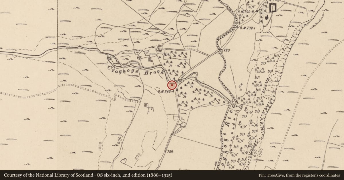 Ordnance Survey six-inch map, 2nd edition (1888–1915) covering the location of Bullaun stone, Cloghoge, County Wicklow, with a pin at the register's coordinates