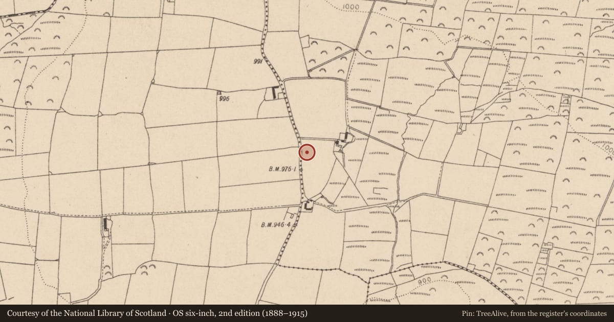 Ordnance Survey six-inch map, 2nd edition (1888–1915) covering the location of Rock art, Downshill, County Wicklow, with a pin at the register's coordinates