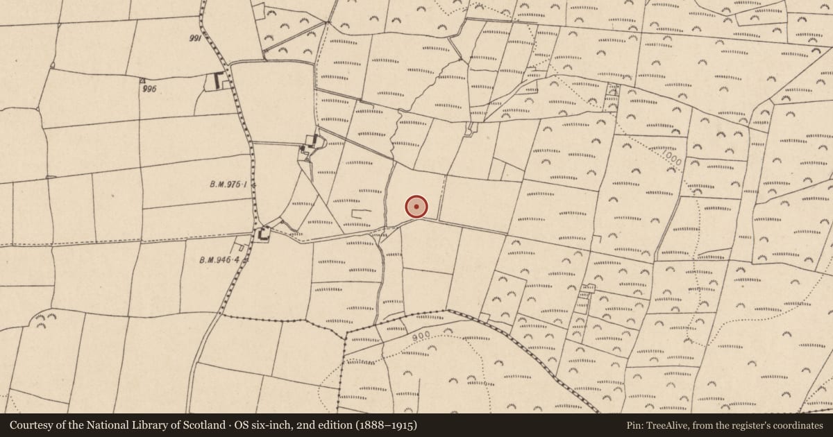 Ordnance Survey six-inch map, 2nd edition (1888–1915) covering the location of Rock art, Downshill, County Wicklow, with a pin at the register's coordinates