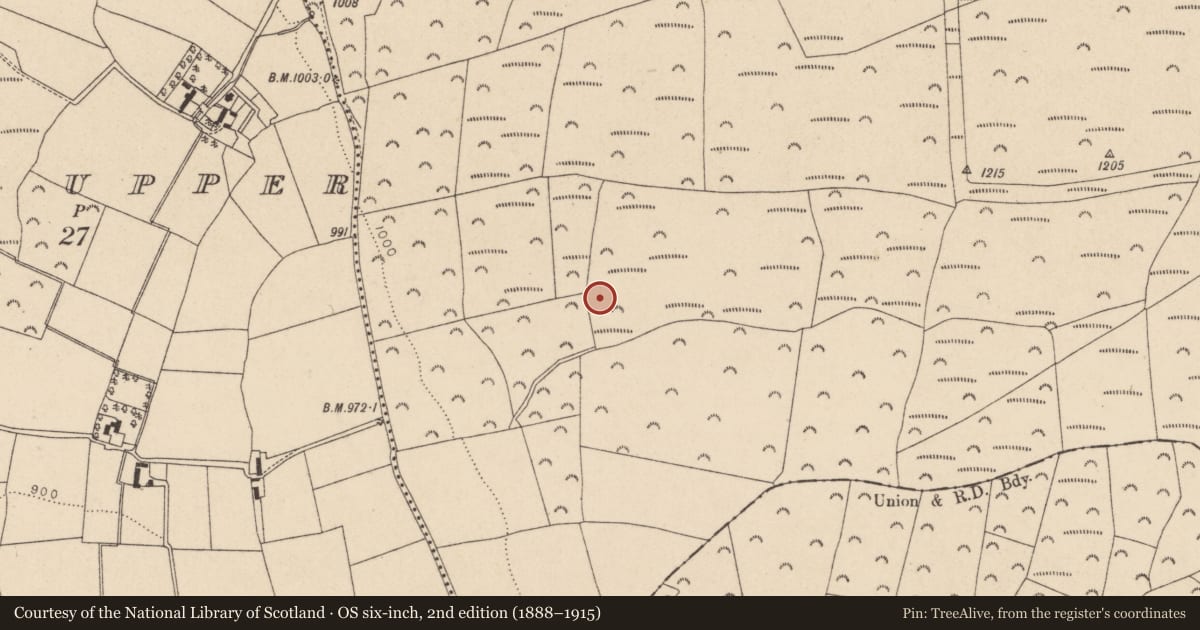 Ordnance Survey six-inch map, 2nd edition (1888–1915) covering the location of Enclosure, Calary Lower, County Wicklow, with a pin at the register's coordinates