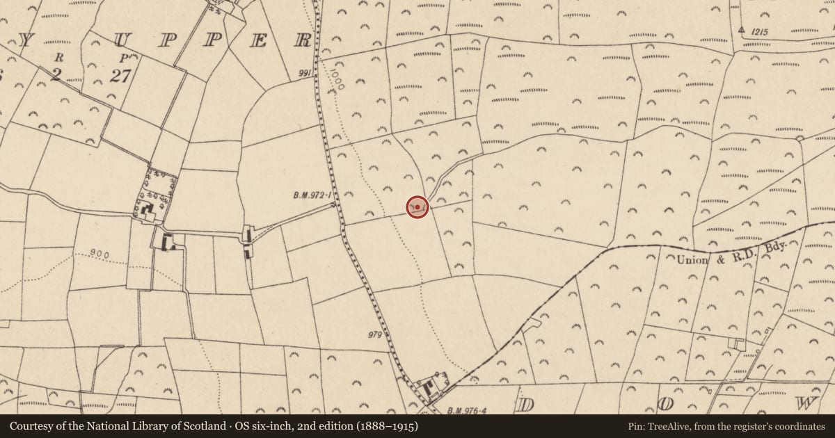 Ordnance Survey six-inch map, 2nd edition (1888–1915) covering the location of Enclosure, Calary Lower, County Wicklow, with a pin at the register's coordinates