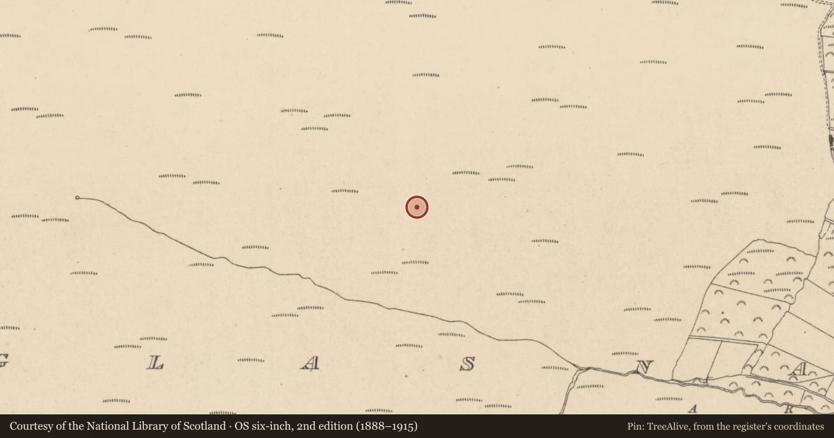 Ordnance Survey six-inch map, 2nd edition (1888–1915) covering the location of Standing stone, Glasnamullen, County Wicklow, with a pin at the register's coordinates