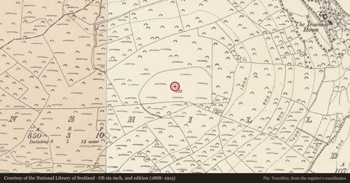 Ordnance Survey six-inch map, 2nd edition (1888–1915) covering the location of Hillfort, Downshill, County Wicklow, with a pin at the register's coordinates
