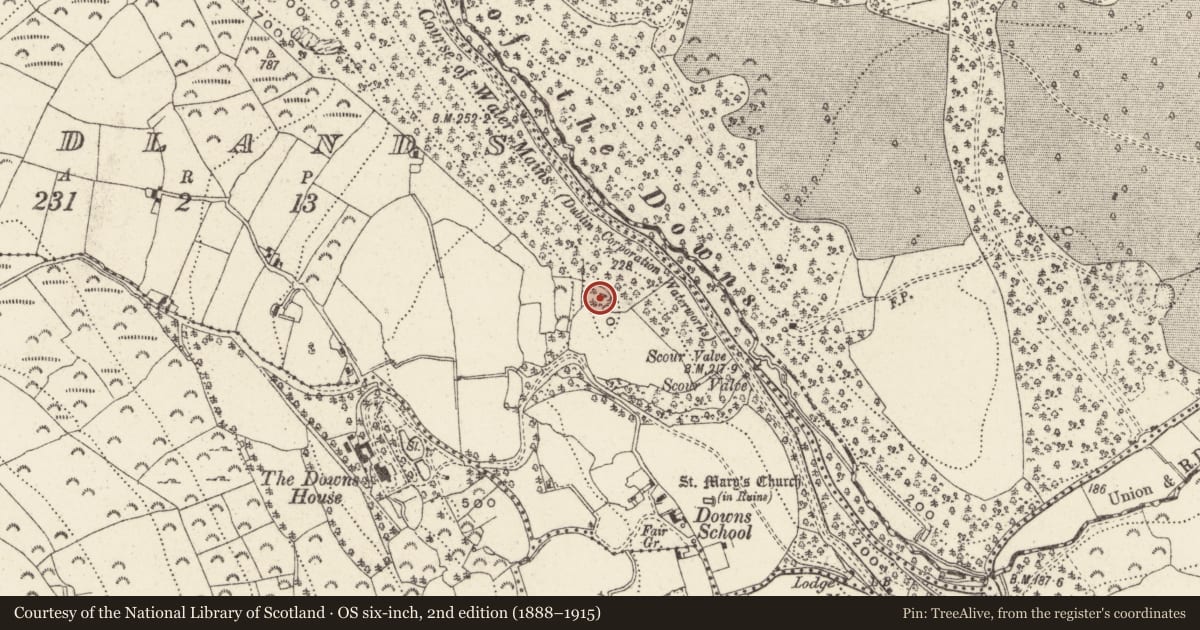 Ordnance Survey six-inch map, 2nd edition (1888–1915) covering the location of Enclosure, Woodlands, County Wicklow, with a pin at the register's coordinates