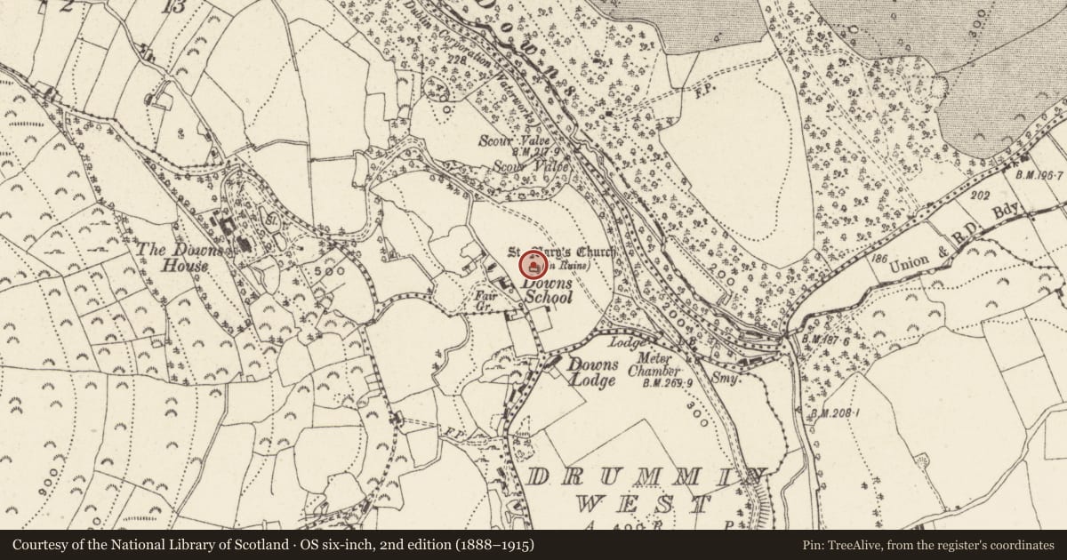 Ordnance Survey six-inch map, 2nd edition (1888–1915) covering the location of Church, Woodlands, County Wicklow, with a pin at the register's coordinates