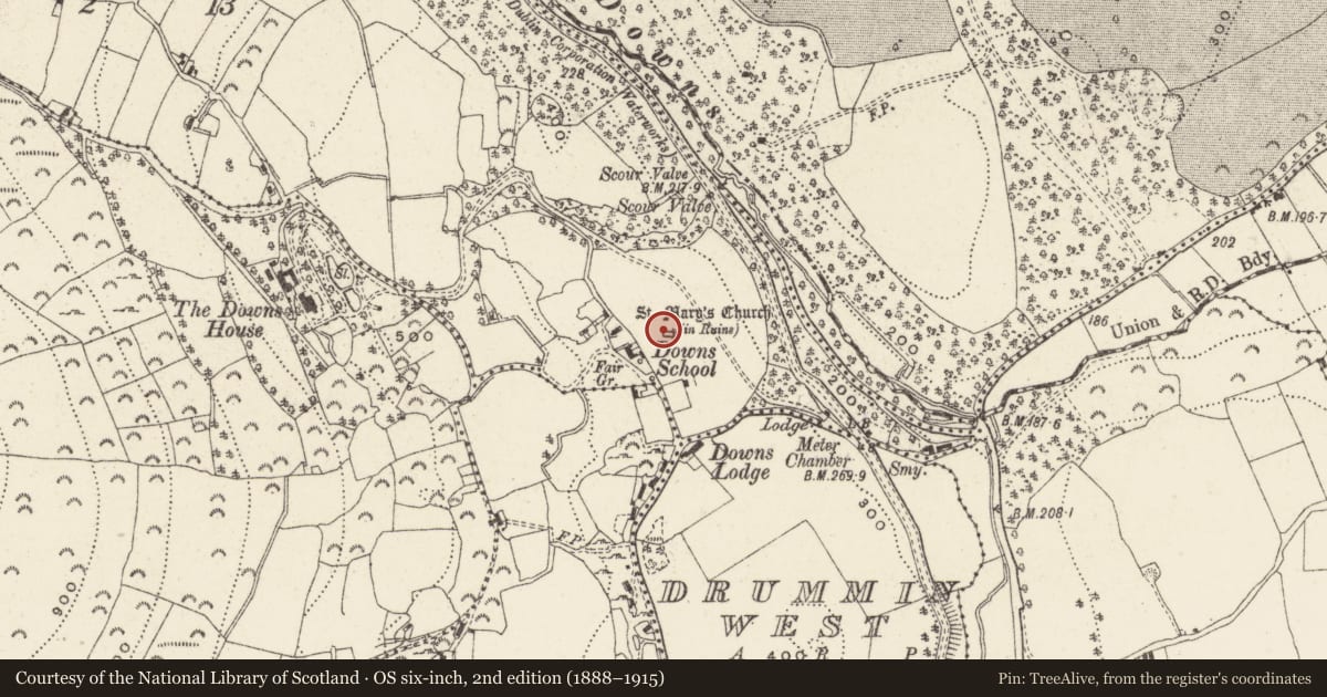 Ordnance Survey six-inch map, 2nd edition (1888–1915) covering the location of Font, Woodlands, County Wicklow, with a pin at the register's coordinates