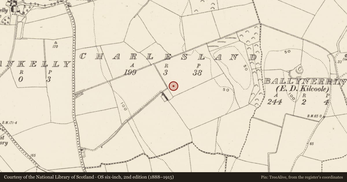 Ordnance Survey six-inch map, 2nd edition (1888–1915) covering the location of Fulacht fia, Charlesland, County Wicklow, with a pin at the register's coordinates
