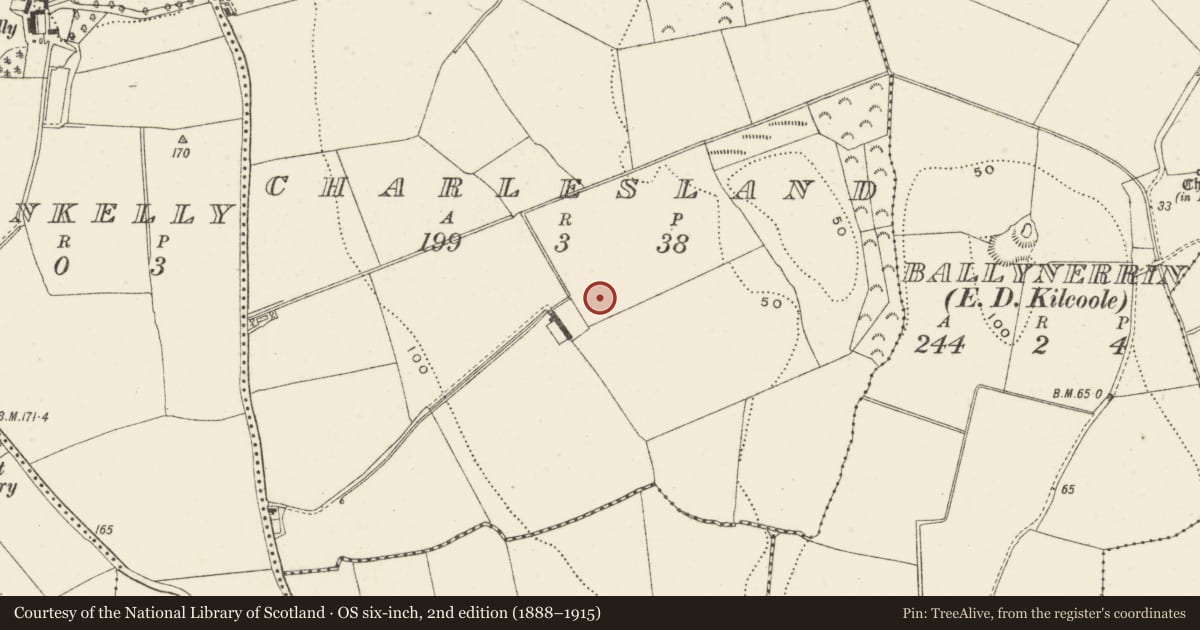 Ordnance Survey six-inch map, 2nd edition (1888–1915) covering the location of Excavation - miscellaneous, Charlesland, County Wicklow, with a pin at the register's coordinates