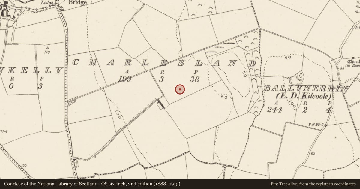 Ordnance Survey six-inch map, 2nd edition (1888–1915) covering the location of Enclosure, Charlesland, County Wicklow, with a pin at the register's coordinates