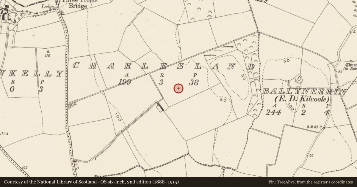Ordnance Survey six-inch map, 2nd edition (1888–1915) covering the location of Enclosure, Charlesland, County Wicklow, with a pin at the register's coordinates