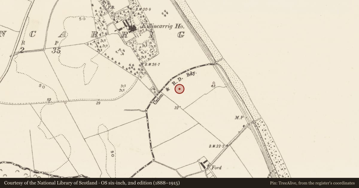 Ordnance Survey six-inch map, 2nd edition (1888–1915) covering the location of Enclosure, Ballynerrin, County Wicklow, with a pin at the register's coordinates