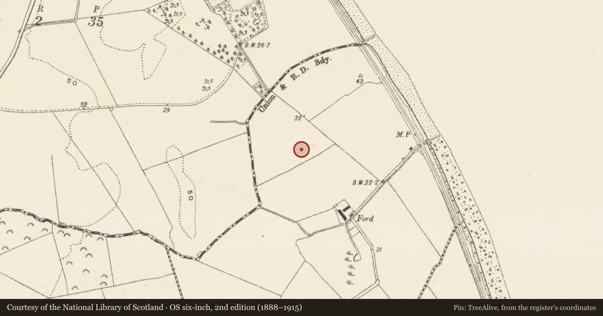 Ordnance Survey six-inch map, 2nd edition (1888–1915) covering the location of Enclosure, Ballynerrin, County Wicklow, with a pin at the register's coordinates