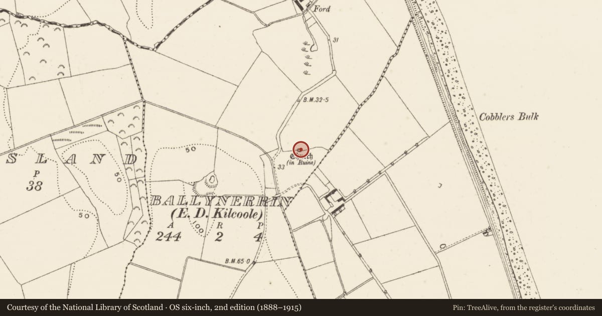 Ordnance Survey six-inch map, 2nd edition (1888–1915) covering the location of Church, Ballynerrin, County Wicklow, with a pin at the register's coordinates