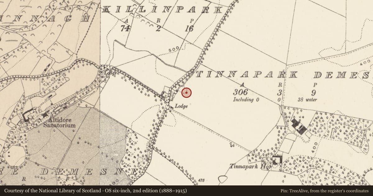 Ordnance Survey six-inch map, 2nd edition (1888–1915) covering the location of Enclosure, Tinnapark Demesne, County Wicklow, with a pin at the register's coordinates