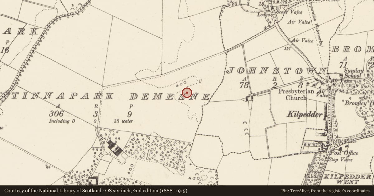 Ordnance Survey six-inch map, 2nd edition (1888–1915) covering the location of Burial ground, Tinnapark Demesne, County Wicklow, with a pin at the register's coordinates
