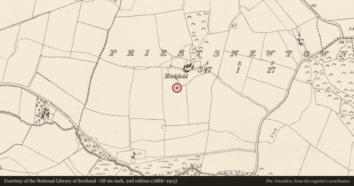 Ordnance Survey six-inch map, 2nd edition (1888–1915) covering the location of Enclosure, Priestsnewtown, County Wicklow, with a pin at the register's coordinates