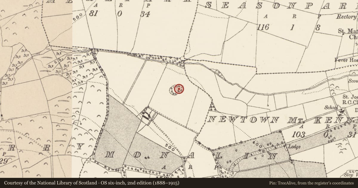 Ordnance Survey six-inch map, 2nd edition (1888–1915) covering the location of Enclosure, Monalin, County Wicklow, with a pin at the register's coordinates