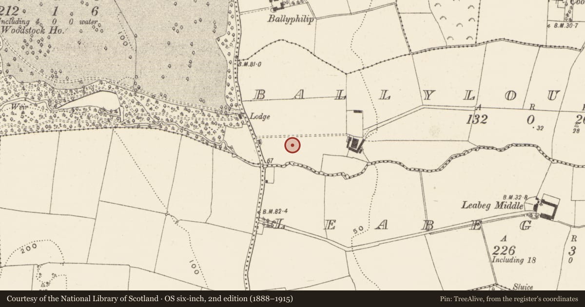 Ordnance Survey six-inch map, 2nd edition (1888–1915) covering the location of Enclosure, Ballyloughlin, County Wicklow, with a pin at the register's coordinates