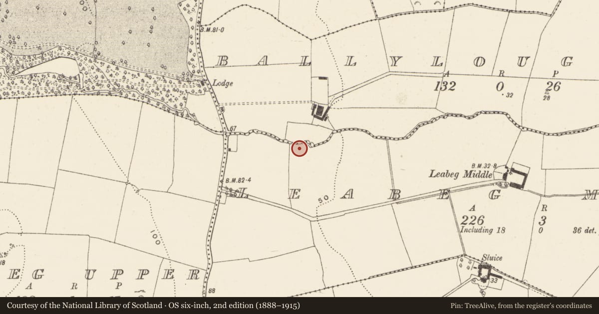 Ordnance Survey six-inch map, 2nd edition (1888–1915) covering the location of Enclosure, Leabeg Middle, County Wicklow, with a pin at the register's coordinates