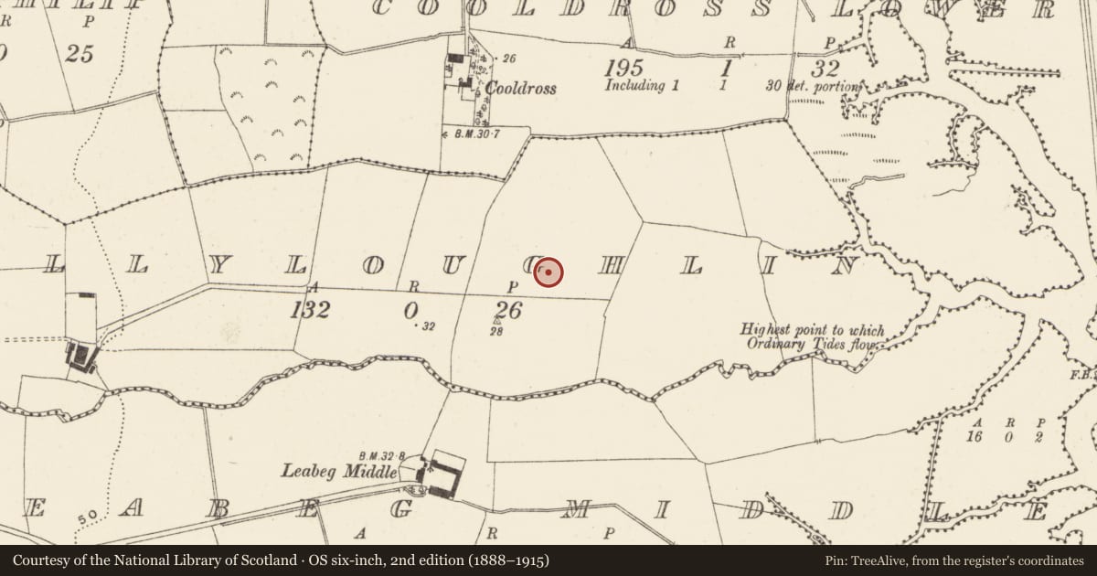 Ordnance Survey six-inch map, 2nd edition (1888–1915) covering the location of Enclosure, Ballyloughlin, County Wicklow, with a pin at the register's coordinates