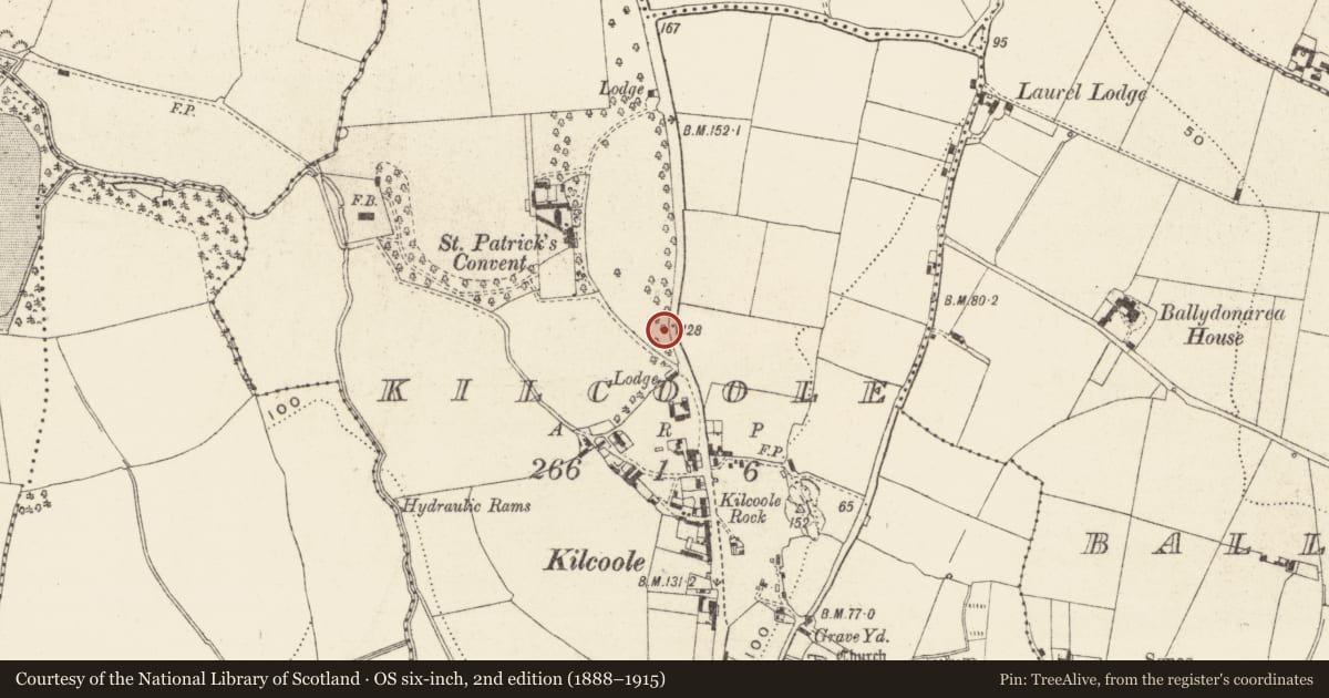 Ordnance Survey six-inch map, 2nd edition (1888–1915) covering the location of Bullaun stone (present location), Kilcoole, County Wicklow, with a pin at the register's coordinates