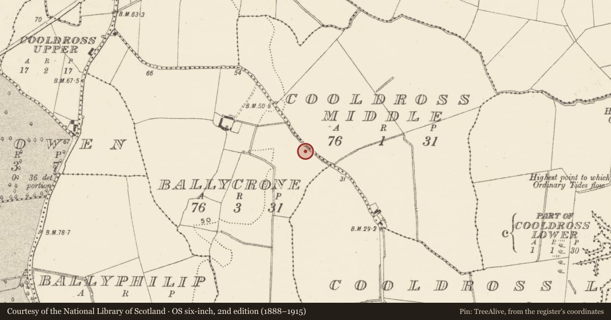 Ordnance Survey six-inch map, 2nd edition (1888–1915) covering the location of Moated site, Ballycrone, County Wicklow, with a pin at the register's coordinates