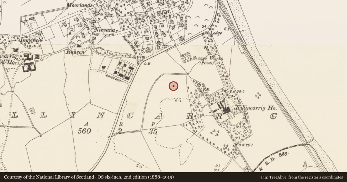 Ordnance Survey six-inch map, 2nd edition (1888–1915) covering the location of Burnt spread, Killincarrig, County Wicklow, with a pin at the register's coordinates