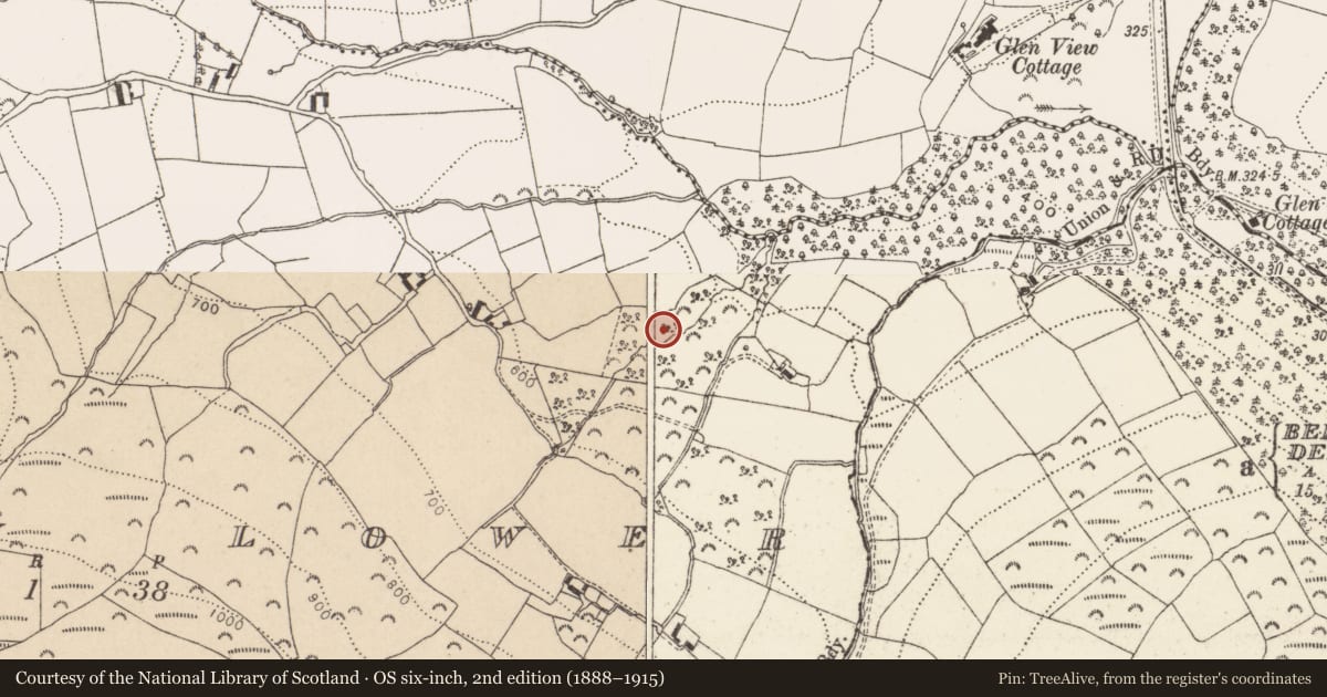 Ordnance Survey six-inch map, 2nd edition (1888–1915) covering the location of Burnt pit, Calary Lower, County Wicklow, with a pin at the register's coordinates