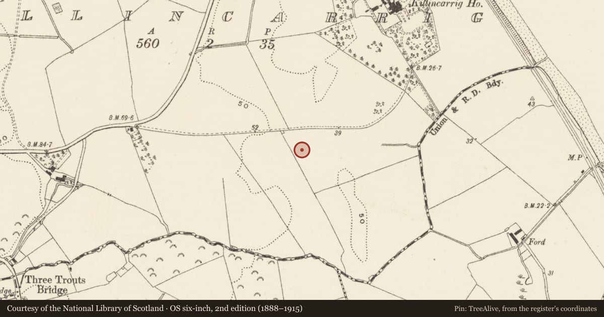 Ordnance Survey six-inch map, 2nd edition (1888–1915) covering the location of Fulacht fia, Killincarrig, County Wicklow, with a pin at the register's coordinates