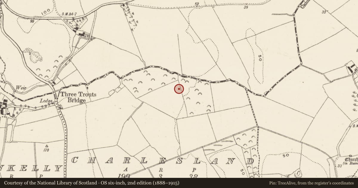 Ordnance Survey six-inch map, 2nd edition (1888–1915) covering the location of Enclosure, Charlesland, County Wicklow, with a pin at the register's coordinates