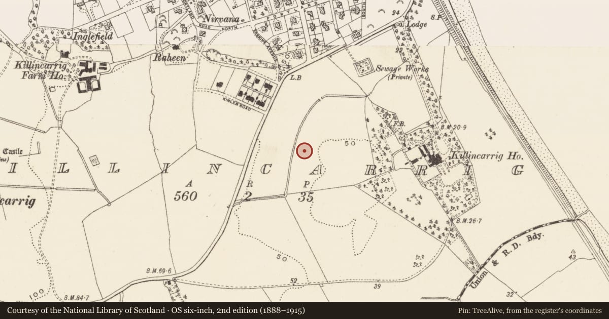 Ordnance Survey six-inch map, 2nd edition (1888–1915) covering the location of Fulacht fia, Killincarrig, County Wicklow, with a pin at the register's coordinates