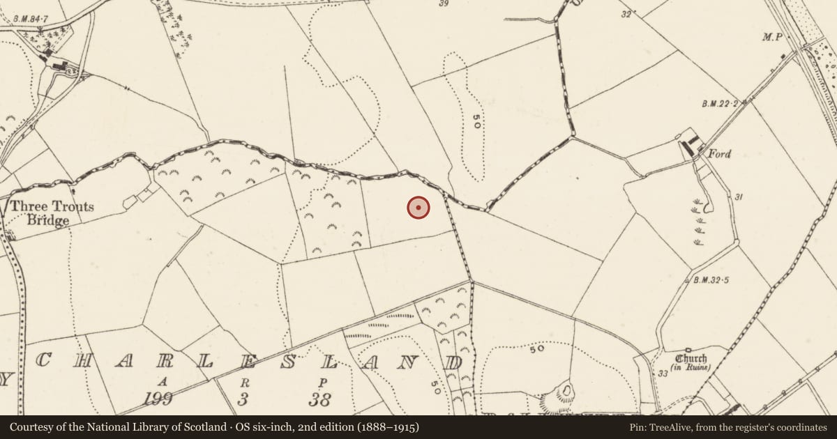 Ordnance Survey six-inch map, 2nd edition (1888–1915) covering the location of Burial, Charlesland, County Wicklow, with a pin at the register's coordinates